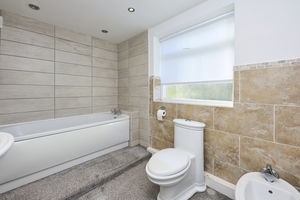 Photo 28- click for photo gallery